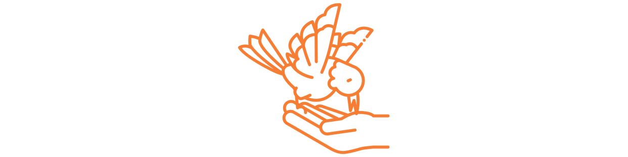 Comprar Pienso para Aves | Accmascotas