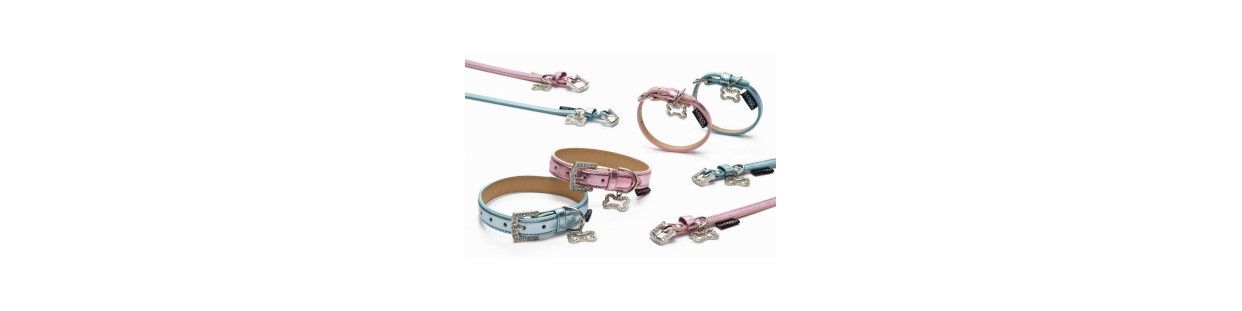 Collares para Perros | Accmascotas