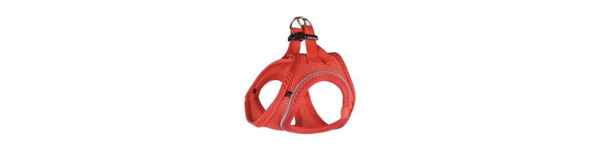 Arneses para Perros| Accmascotas