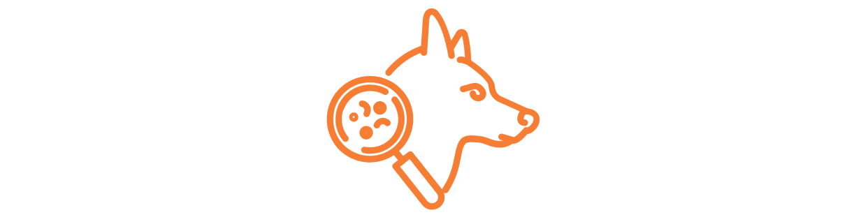 Anti parásitos para Perro