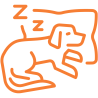 Descanso de su perro
