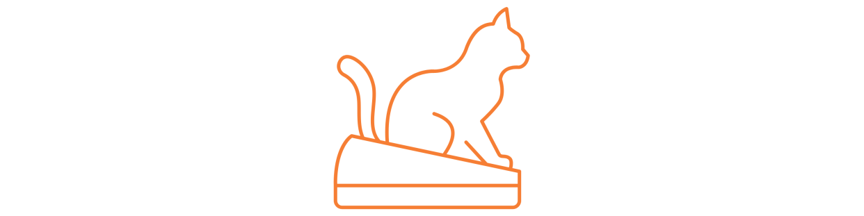 Higiene para Gatos | Accmascotas