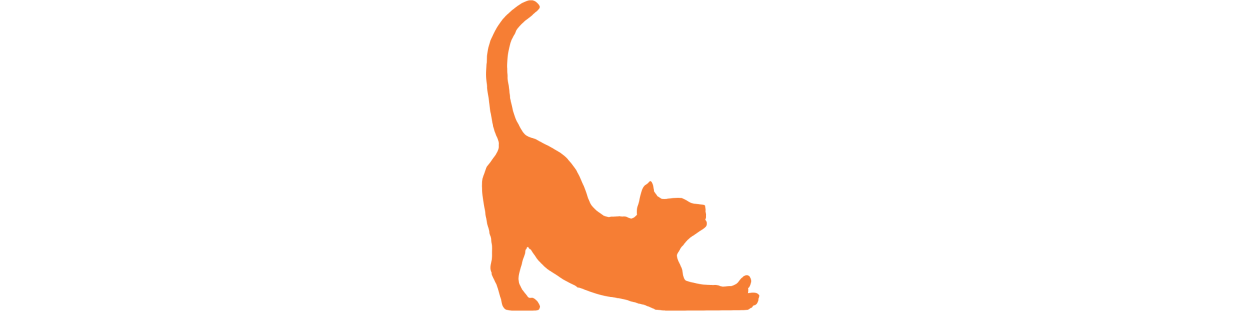Comprar Accesorios, Comida y Pienso para Gatos. También Esterilizados.