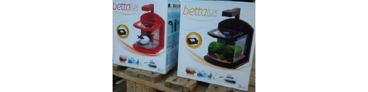 Comprar Acuarios y Peceras Pequeñas. Buenos Precios.