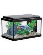 Comprar Acuarios Atlantis