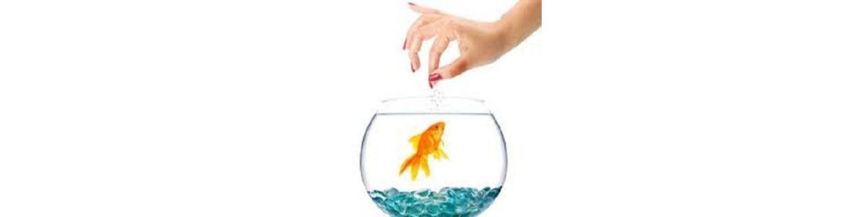 Comprar Comida y alimento para Peces y Tortugas