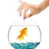 Alimentos para peces