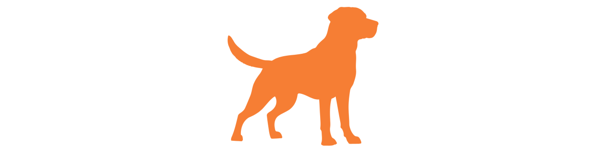 Tienda para Perros. Accesorios, Comida y Piensos de Calidad.