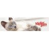 Alimento especial gato