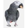 Pienso para Loros