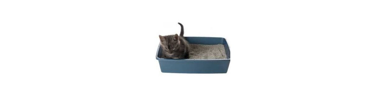 Lechos Absorbentes para Gatos