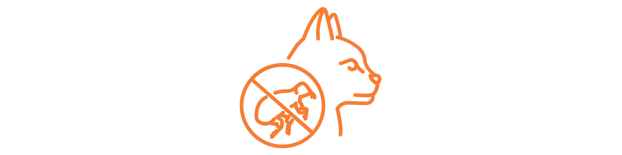 Anti parásitos para gatos | Accmascotas